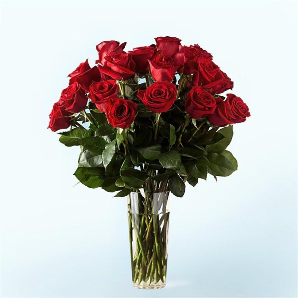 Classic Romance - One Dozen Exquisite Red Roses